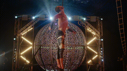 GIF 5