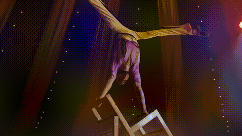 GIF 9