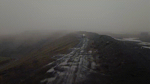 GIF 1