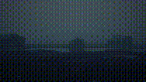 GIF 5