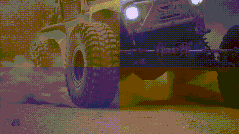 GIF 12