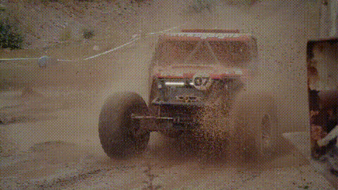 GIF 17