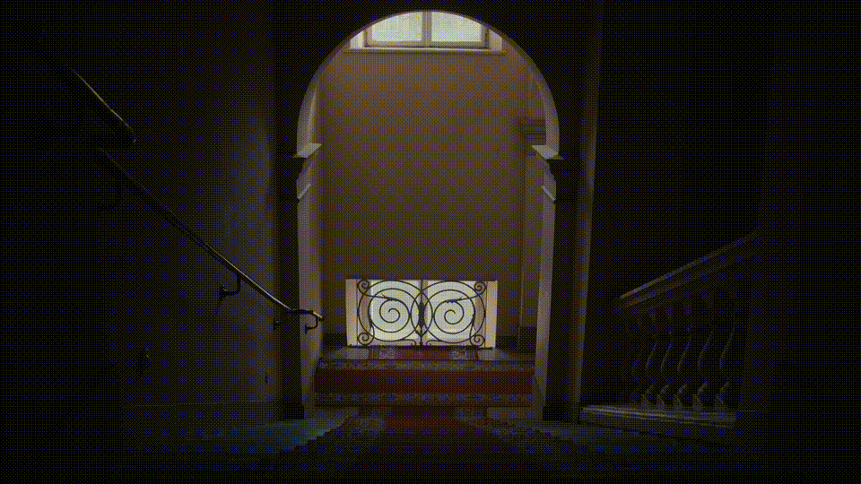 GIF 8