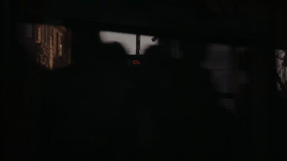GIF 10