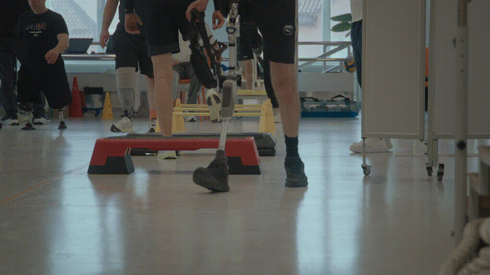 GIF 15
