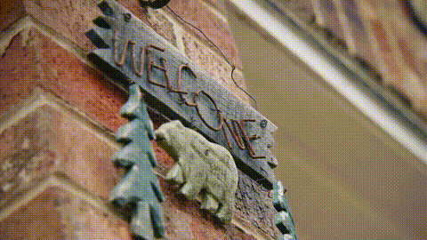 GIF 2