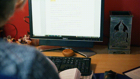 GIF 4