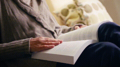 GIF 7
