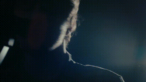 GIF 5