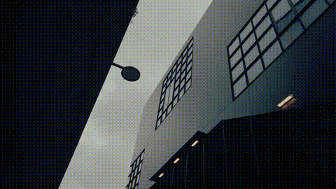 GIF 6